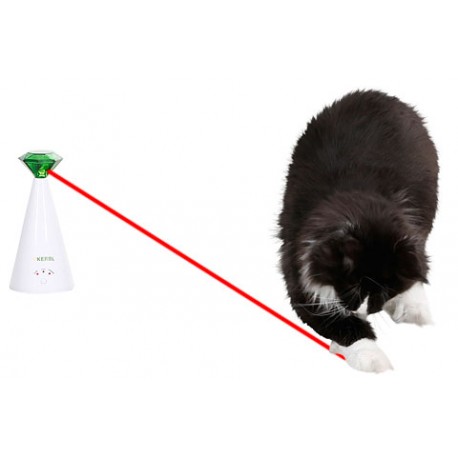 laser automatique pour chat
